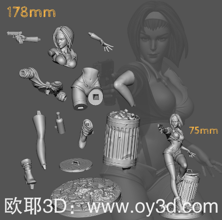 动漫电影,Faye,Valentine,Cowboy,Bepop,组装