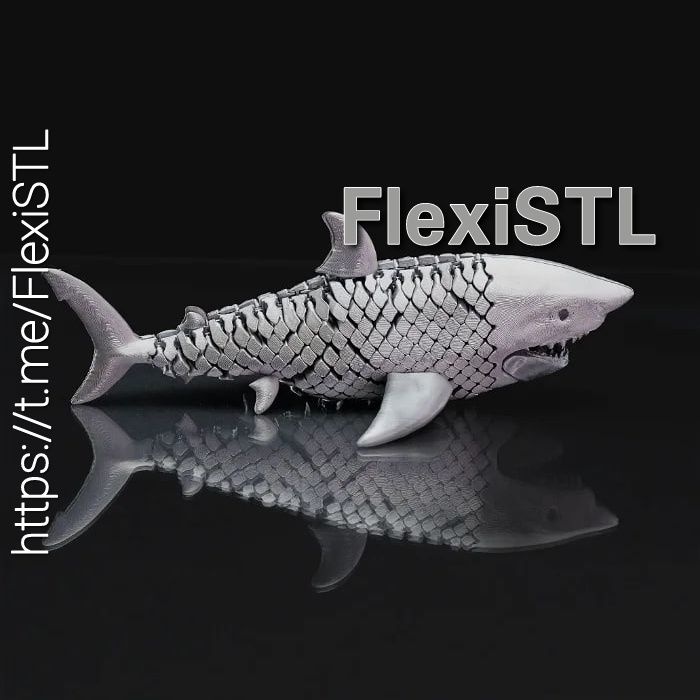 动漫电影,FlexiSTL,Great,White,Shark,组装